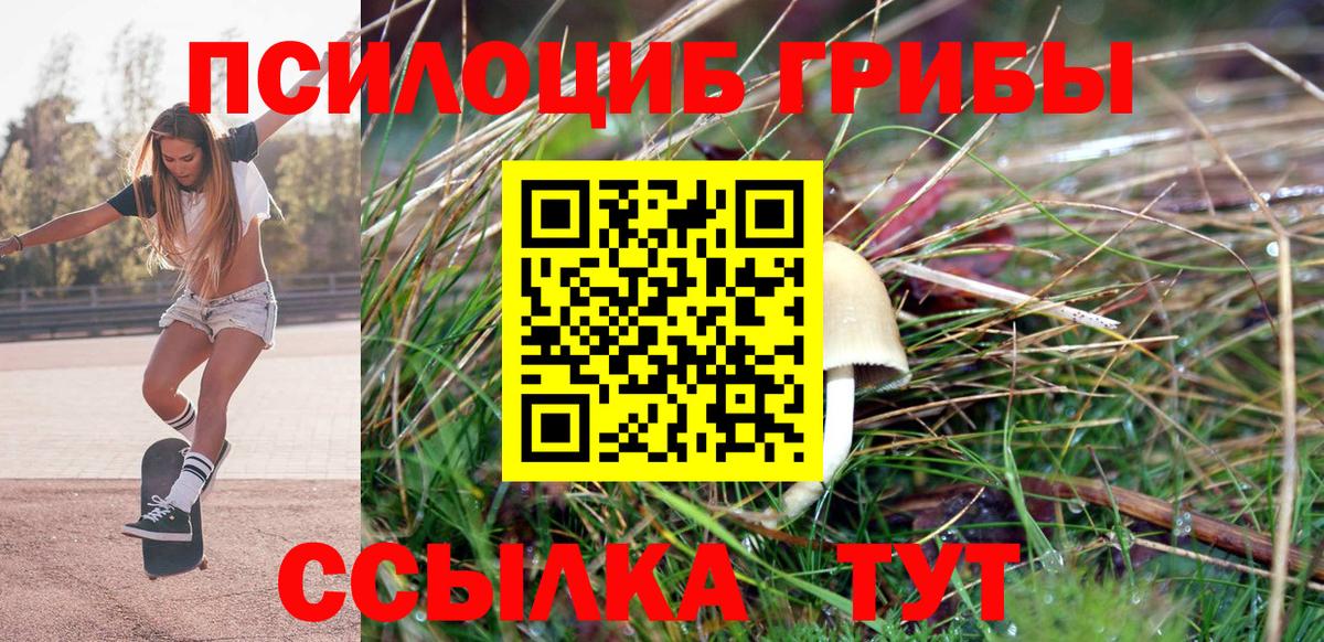 Галлюциногенные грибы Psilocybine cubensis  Галлюциногенные грибы ЛСД  Мыски  Вход с VPN 