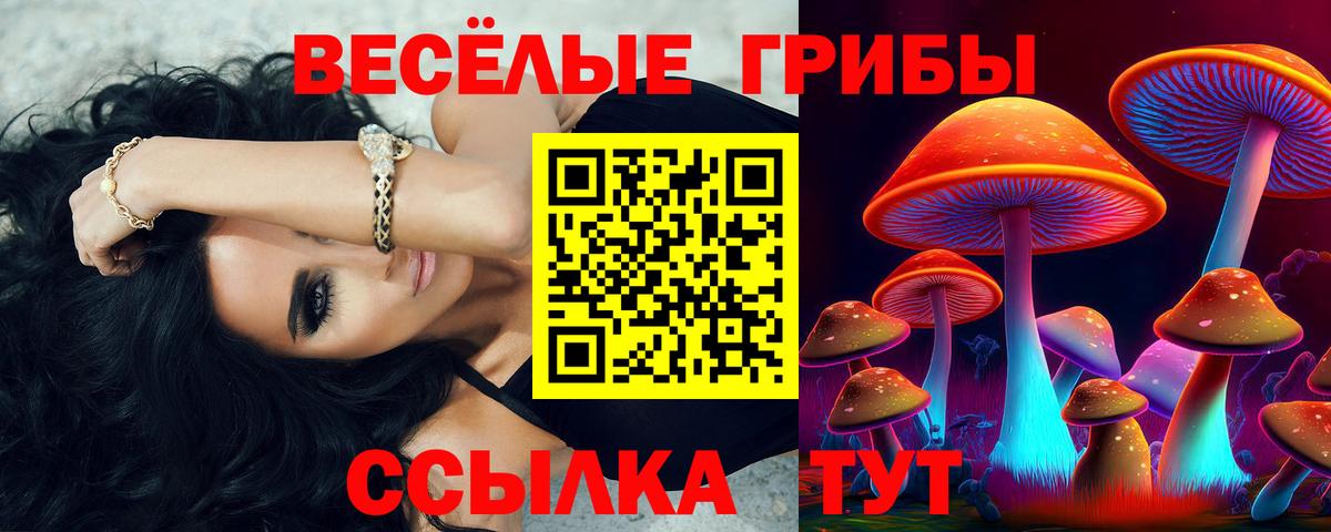 Псилоцибиновые грибы Cubensis Мыски